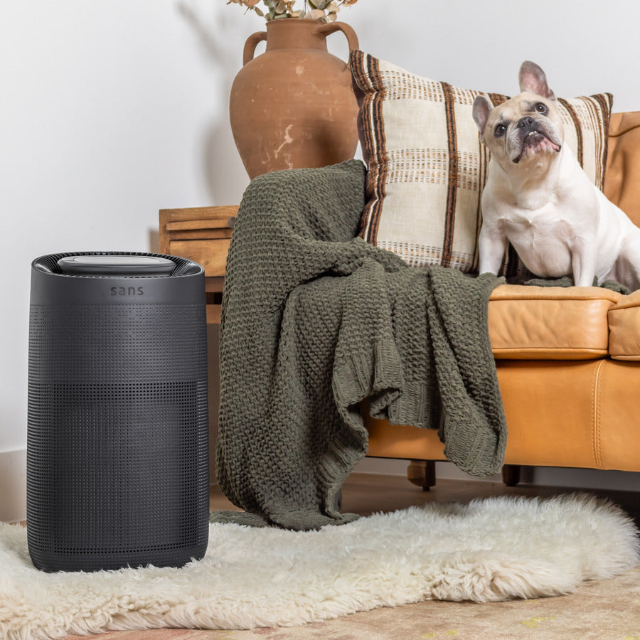 Sans Air Purifier