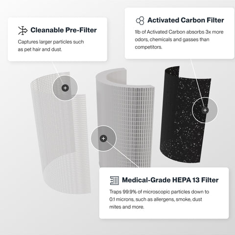 Bundle: The Healthy Home Bundle – Sans