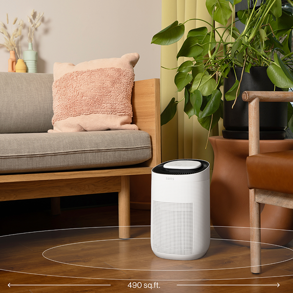 Main image for 4. Powerful Purification Without the Premium Price